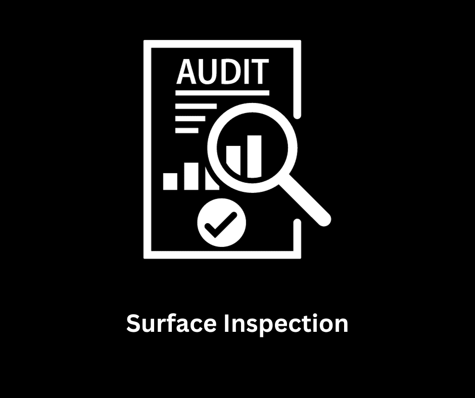 Inspection Icon
